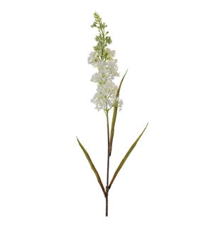 Floral Stem