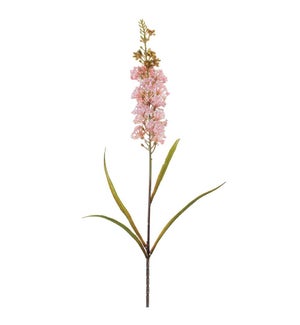 Floral Stem
