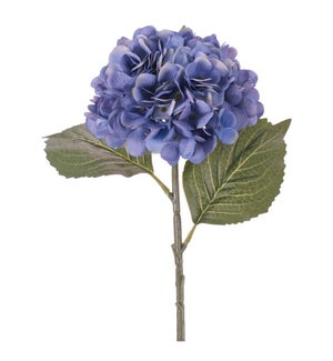 Hydrangea Stem