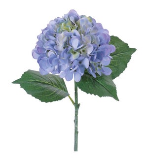 Hydrangea Stem