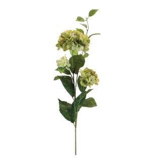 Hydrangea Spray