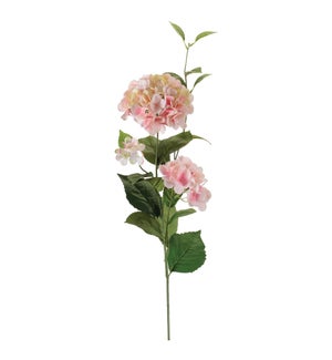 Hydrangea Spray