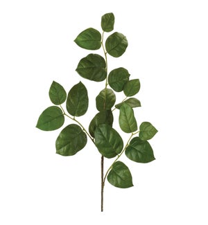 Leaf Spray