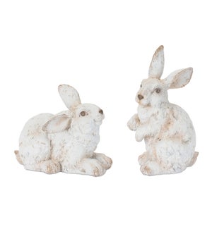 Rabbit (2 Asst)