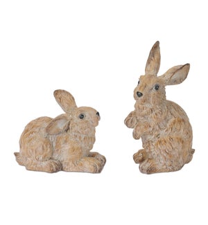 Rabbit (2 Asst)