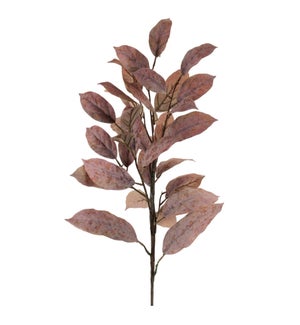 Leaf Spray