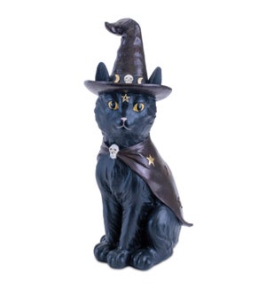 Cat with Witch Hat and Cape