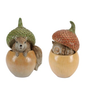 Acorn with Squirrel and Owl (2 Asst)