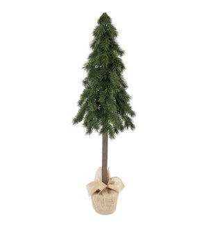 Pine Tree