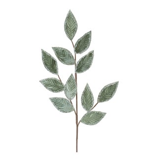 Leaf Spray