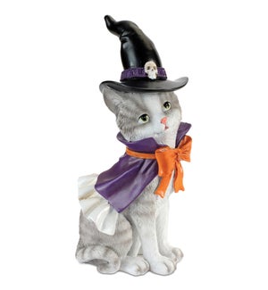 Cat with Witch Hat