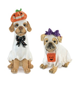 Ghost Dog (2 Asst)