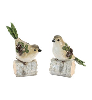 Bird on Birch Branch (2 Asst)
