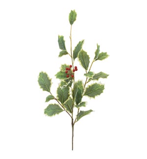 Holly Spray