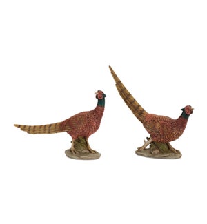 Pheasant (2 Asst)