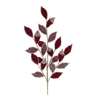 Leaf Spray