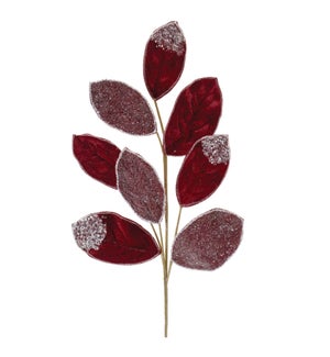 Magnolia Leaf Spray