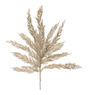 Cedar Spray