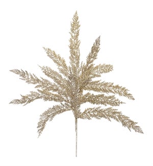 Cedar Spray