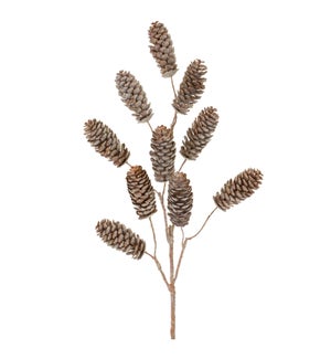 Pine Cone Spray