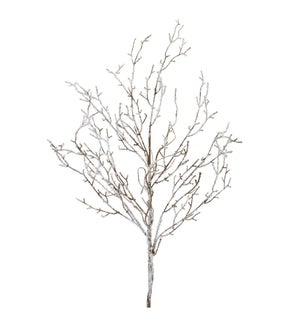 Icy Branch