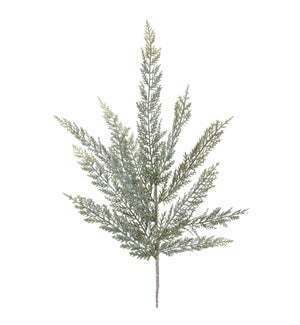 Fern Spray