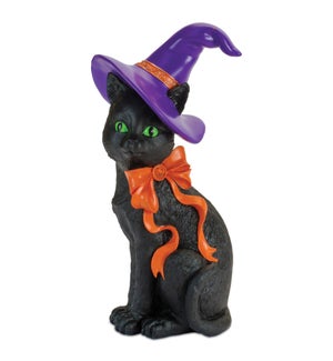 Cat with Witch Hat