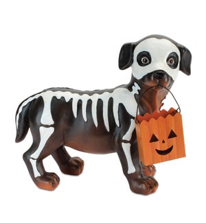 Dog Trick or Treating