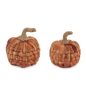 Pumpkin (2 Asst)