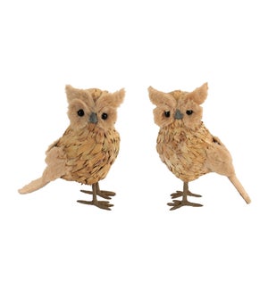 Owl (2 Asst)