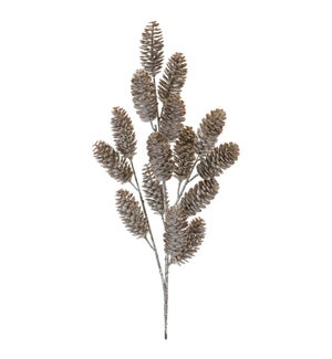 Pine Cone Spray