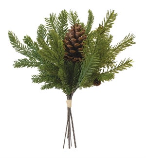 Fir Pine Bundle