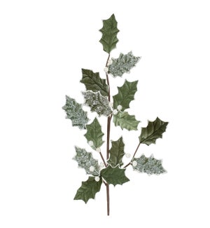 Holly Spray