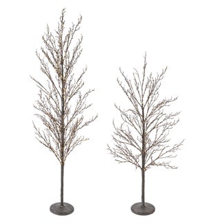 LED Tree (Set of 2)