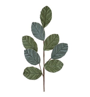 Leaf Spray
