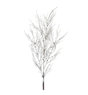 Snowy Branch