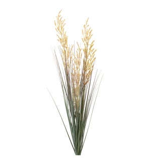 Fall Grass Bush