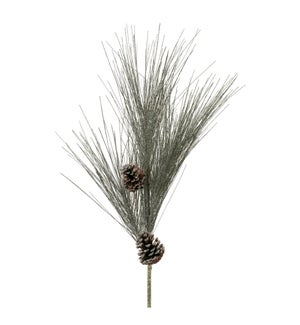 Long Needle Pine Stem