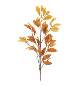 Fall Leaf Stem