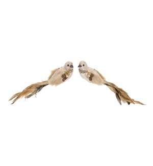 Fancy Bird (2 Asst)