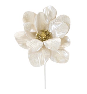 Magnolia Stem
