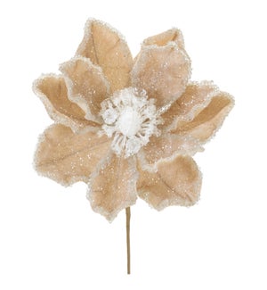 Magnolia Stem