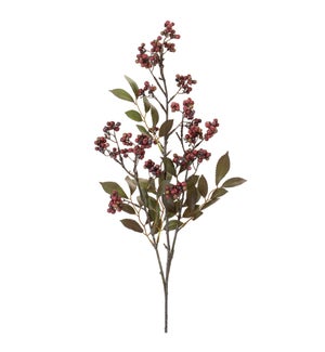 Berry Spray
