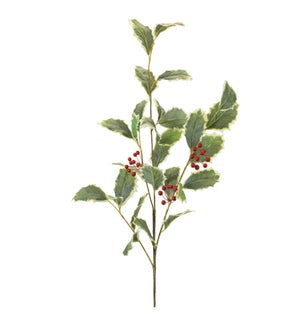 Holly Spray