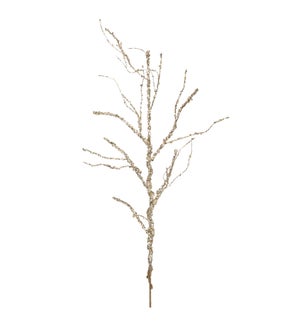 Twig Branch