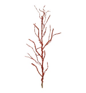 Twig Branch