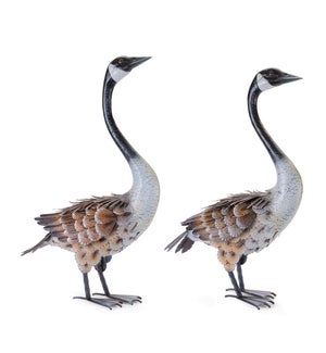 Goose (2 Asst)