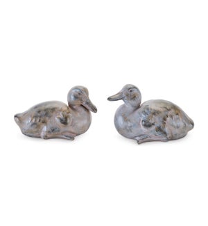 Duck (2 Asst)