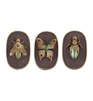 Insect Plaque (3 Asst)