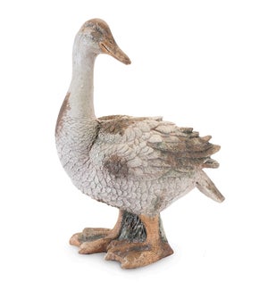 Duck